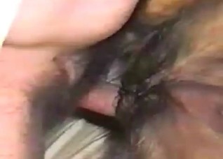 Filthy missionary sex with a dog