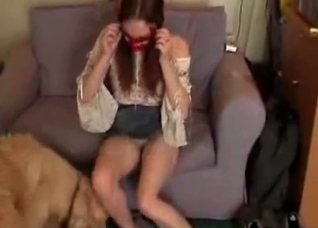 Trio action with a trained doggy