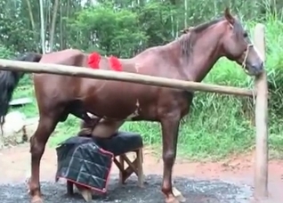 Nasty anal sex with a stallion