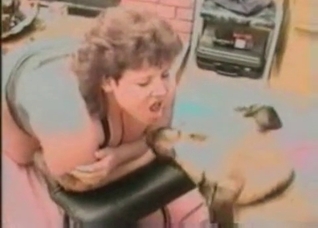 Dog licks a juicy wet muff