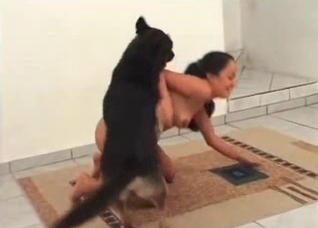 Some hot zoophilic games