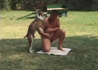 Man is being anally fucked by a dog