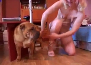 Brown doggo fucking a sexy blonde