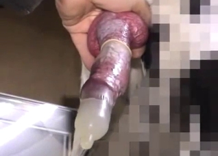 Filling up that condom with dog cum