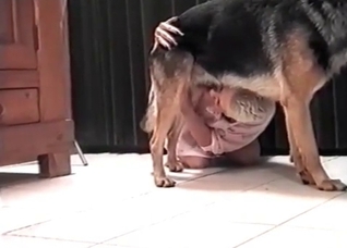 Short-haired zoophile blows a dog