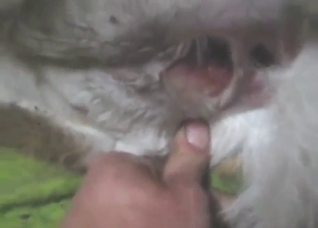 Boss-ass doe gets fucked in POV, to orgasms