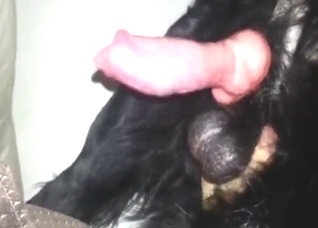 Jack off pleasure and plenty of legit orgasms