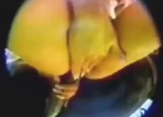 Black stallion cock fucking her submissive vag