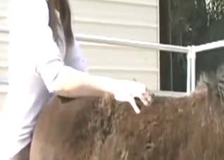 Amateur mare pussy will be banged by a dude