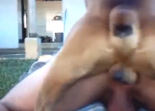 Anal double tap with a dog fucking a gay guy