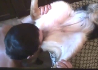 Zoo porn with a LAB that gets fucked from behind