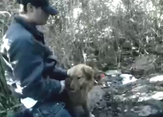 Sexed-up guy is going to fuck a dog's mouth