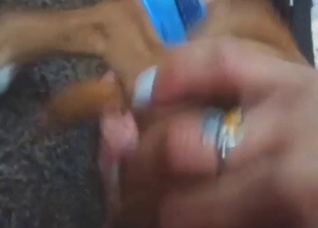 Horned-up gal plays with herself during dog's lick