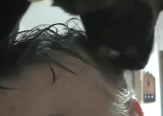 Nice foreplay to zoo sex with a scalp massage