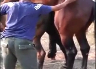 Hot zoophile porn with beasts banging so fast
