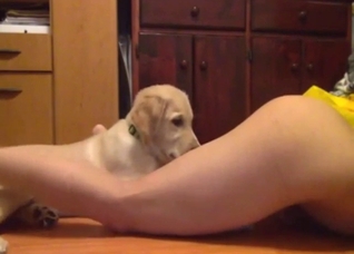 Asian bestiality porn with a slutty lady cumming