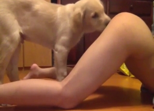 Asian bestiality porn with a slutty lady cumming