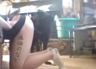 Doggystyle zoo porn showing a hot lady taking it