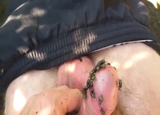 Zoo XXX shows flies on his throbbing dick too